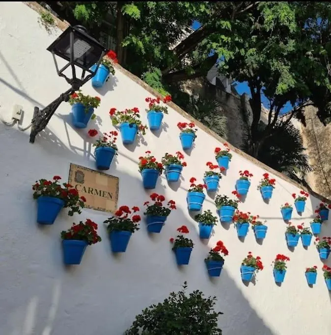 Apartamento Las Flores 3, Marbella Spain